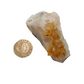 A cluster of citrine with yellow crystal points on a white base next to a 20 pence 