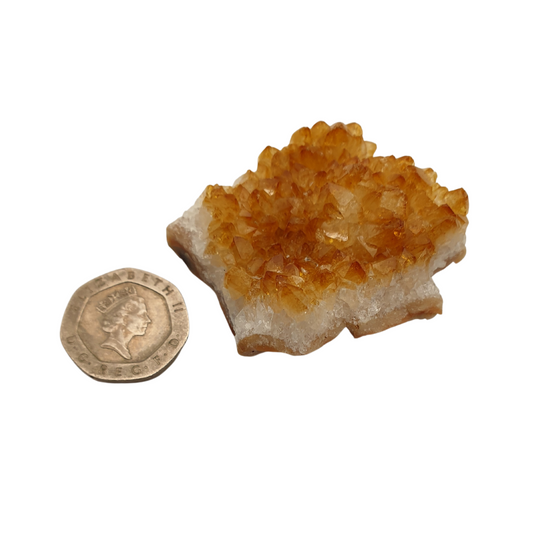 A cluster of citrine with yellow crystal points on a white base next to a 20 pence 