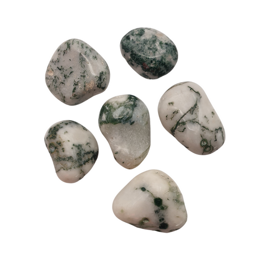 Tree Agate Tumble Stone