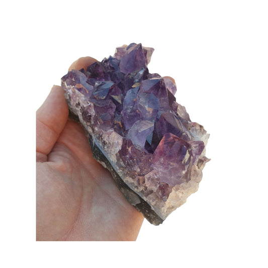 A hand holding a piece of amethyst with purple points on a base of grey stone