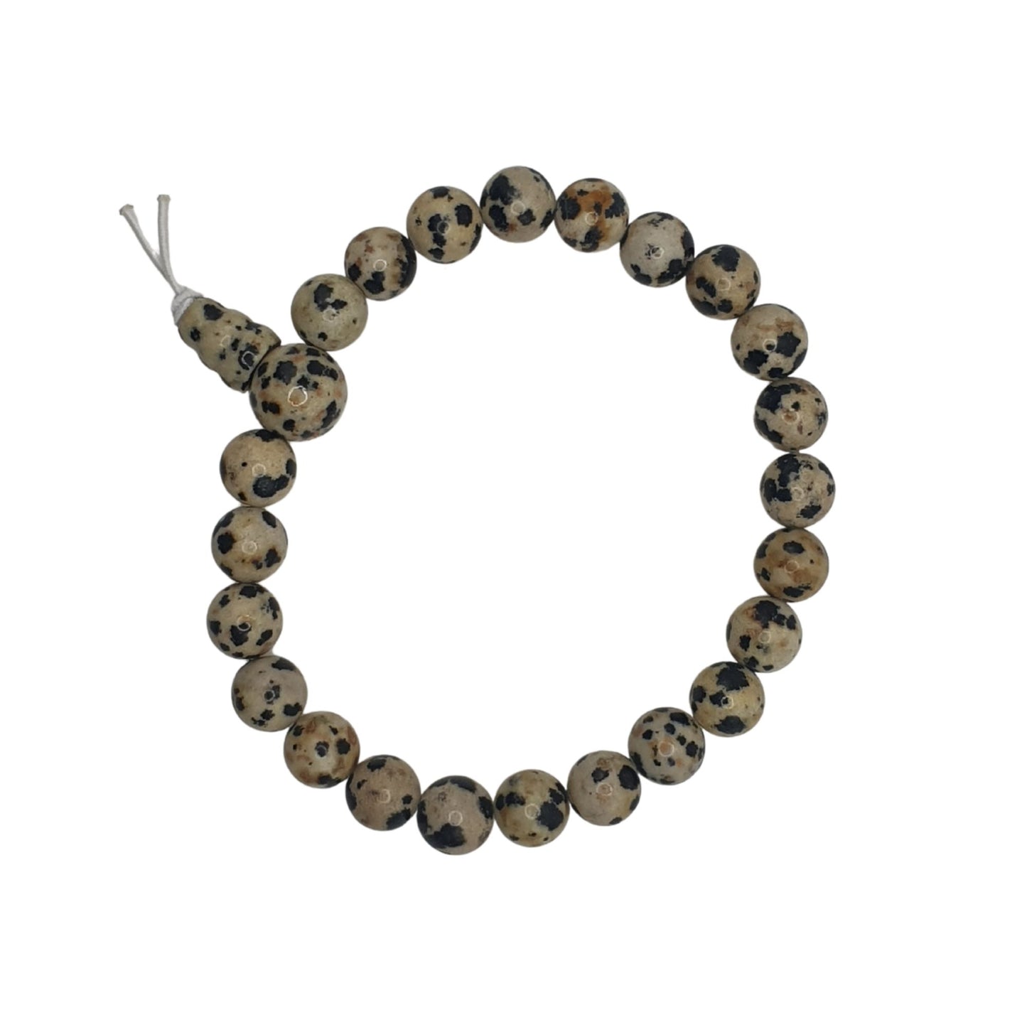 Dalmatian Jasper Power Bracelet