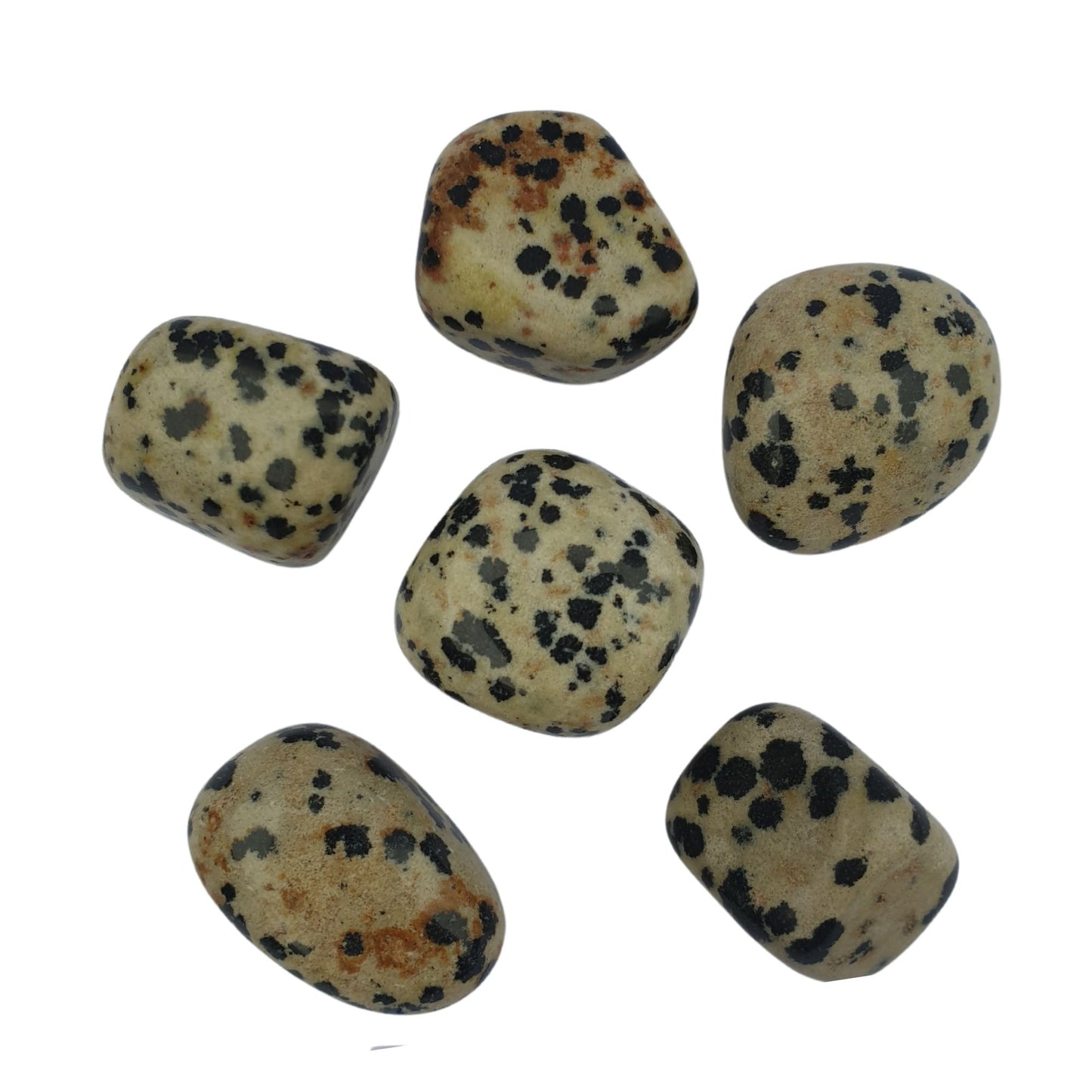 Dalmation Jasper Tumble Stone