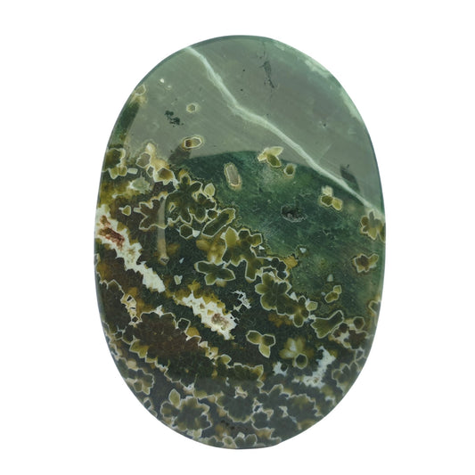 Ocean Jasper Palmstone