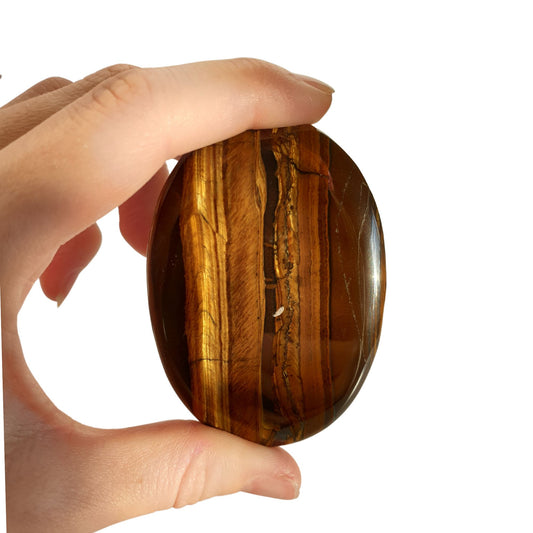 Tiger's Eye Palmstone