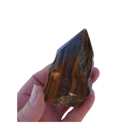 Tiger's Eye Rough Polished Point B